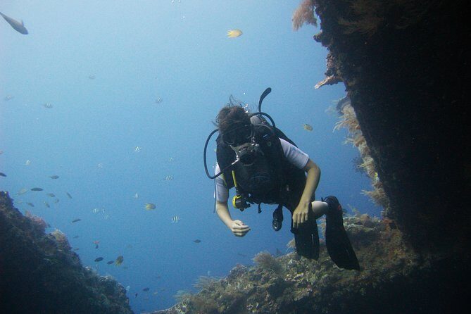 2 PADI Certified Dives at Tulamben from Bali - Morning coral garden session: coral, fish, turtles, and the 40–60 minute rhythm