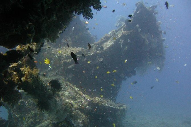 2 PADI Certified Dives at Tulamben from Bali - 7:00 am pickup, small group, and a smooth day rhythm