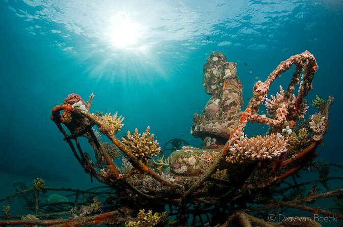 3 Days PADI Open Water Course in Pemuteran - Price and Value: Is $425 Good for a 3-Day Open Water Course?