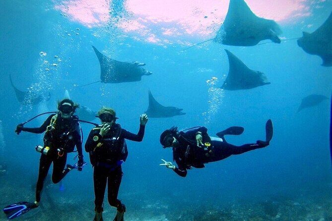 3 Epic Dives in Nusa Penida - Certified Divers' Day Trip - Quick Hits Before You Go