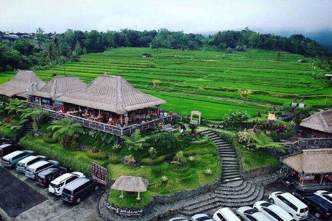 4-Hour Private Tour in Jatiluwih Terraces and Butterfly Park - Jatiluwih Green Land and UNESCO terraces: the views are the point