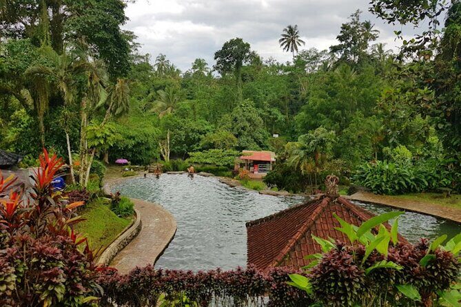 4-Hour Private Tour in Jatiluwih Terraces and Butterfly Park - The driver makes a real difference on this route