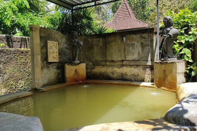 4-Hour Private Tour in Jatiluwih Terraces and Butterfly Park - What’s included, what costs extra, and how $70 adds up