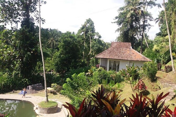 4-Hour Private Tour in Jatiluwih Terraces and Butterfly Park - Timing, weather, and the reality of a half-day Bali plan