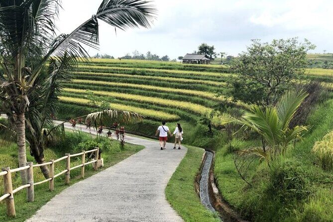 4-Hour Private Tour in Jatiluwih Terraces and Butterfly Park - First stop: Bali Butterfly Park, where time feels quick