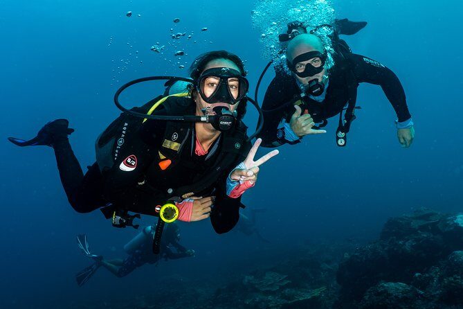 5 Fun Dives in Pemuteran (for certified divers) - Exploration in Menjangan Park - Price and value: does $180.56 make sense for 5 sessions?