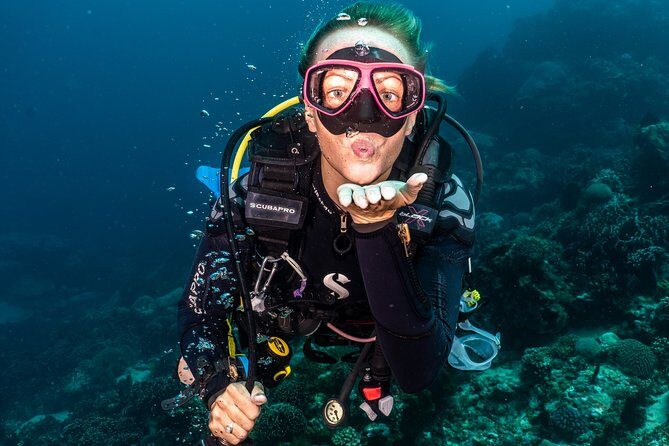5 Fun Dives in Pemuteran (for certified divers) - Exploration in Menjangan Park - The Pemuteran-to-Menjangan rhythm (and why timing feels smooth)