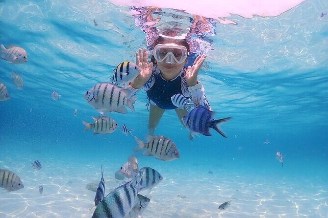 (ALL- IN) Bali Snorkeling Blue Lagoon with Waterfall Visit - Coffee plantation and Balinese tasting: flavors you share