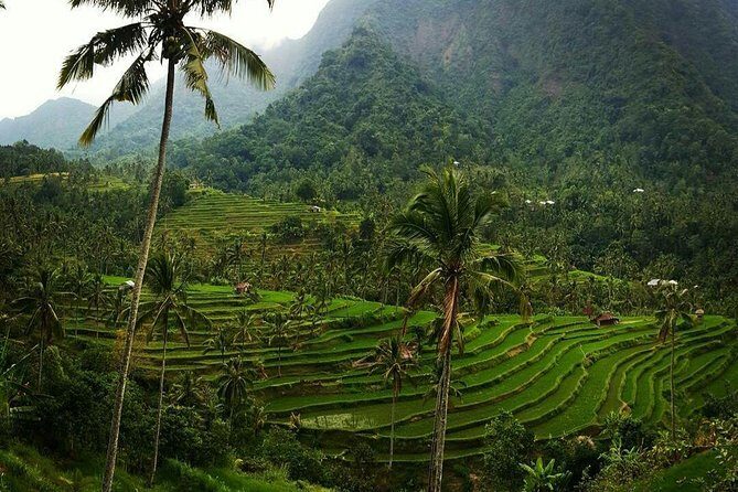 All inclusive Bali Sekumpul Waterfalls Trekking Tour - Stop 2: Fili Waterfall and the “Fiji waterfalls” circuit