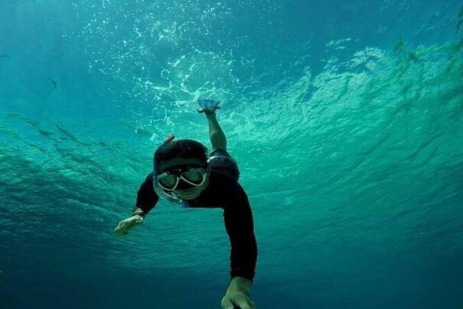 All Inclusive Bali Snorkeling Blue Lagoon tour experience - Your Schedule From Hotel Pickup to Coffee Plantation