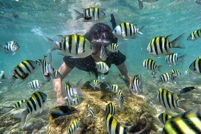 All Inclusive Bali Snorkeling Blue Lagoon tour experience - Bias Tugel Beach and the Coffee Plantation: Why These Stops Matter