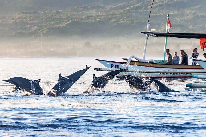 All inclusive Lovina Dolphins Sunrise tour, Waterfall & Temple - Who This Tour Suits Best (and Who Should Rethink It)