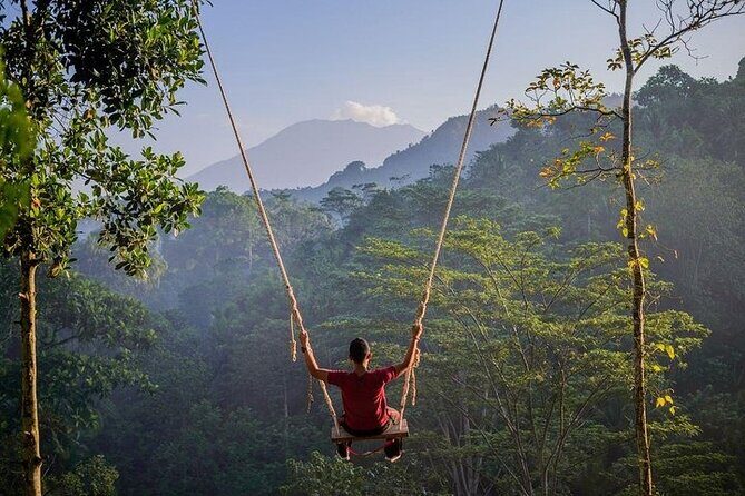 All Inclusives Bali Private Tour Temples Palaces and Nature - East Bali in One Long Day: What the 12 Hours Really Feel Like
