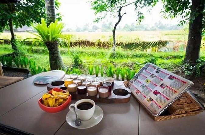 All Inclusives Bali Private Tour Temples Palaces and Nature - Optional Lereng Agung Swing: Rice Terrace Views with a Little Thrill