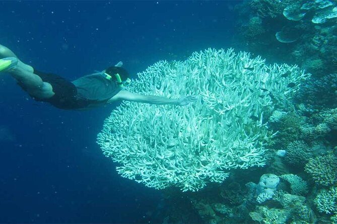 All Ticket Inclusive-Blue Lagoon Snorkeling-Ubud Monkey Forest & Ubud Waterfall - Group size and private-tour feel: how to enjoy it better
