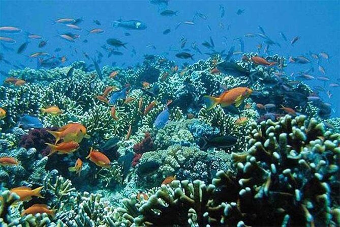 All Ticket Inclusive-Blue Lagoon Snorkeling-Ubud Monkey Forest & Ubud Waterfall - Lunch, showers, and what the $51 actually buys
