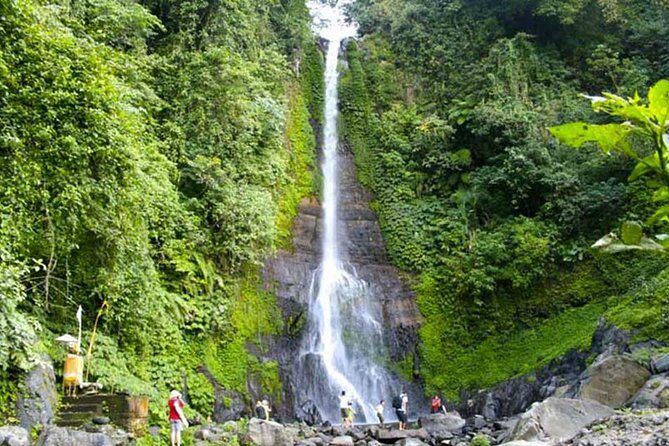 Amazing Private Tours: Dolphins Lovina and Gitgit Waterfall include Lunch - Ulundanu Beratan Temple and its garden setting