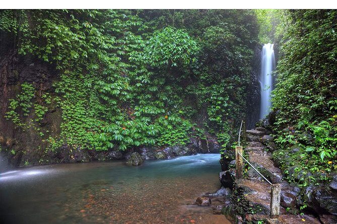 Amazing Private Tours: Dolphins Lovina and Gitgit Waterfall include Lunch - Lunch and Candikuning Market: a useful midday combo