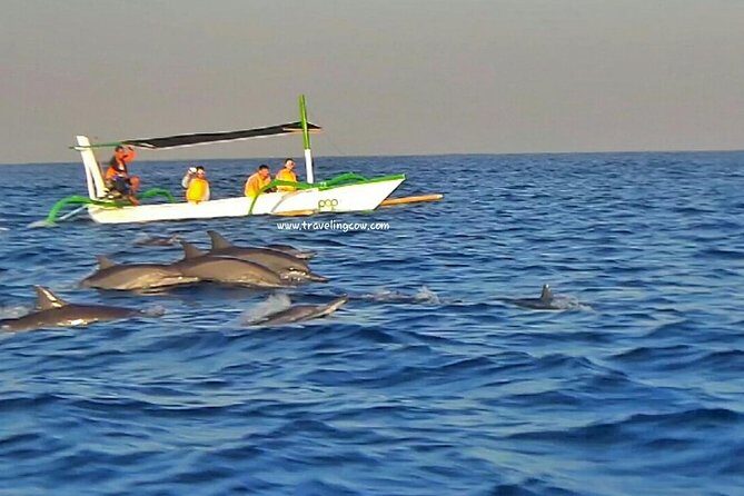 Amazing Private Tours: Dolphins Lovina and Gitgit Waterfall include Lunch - Gitgit Waterfall: the nature break after the sea