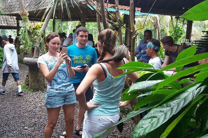 ATV Quad Bike with Kintamani Volcano Tour - All Inclusive - The all-inclusive value: transport, lunch, insurance, and those little extras