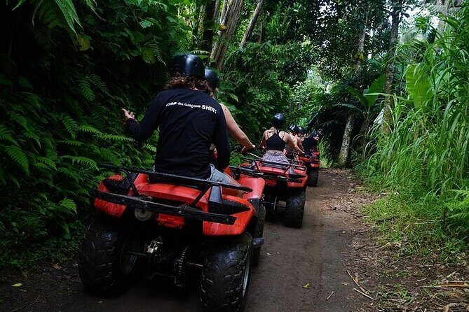 Bali ATV Quad Bike Adventure with Gorilla Cave Pass By Waterfall - Who this tour suits best (and who might feel out of place)