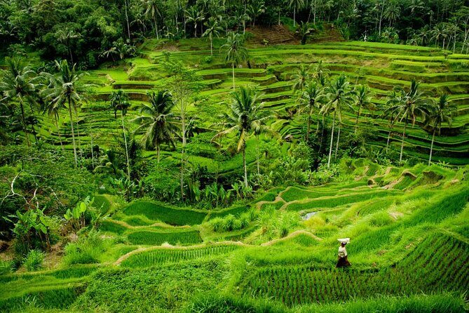 Bali Benoa Shore Excursion for Cruise's Passenger - All Inclusive - Puseh Batuan Temple: History You Can Walk Through