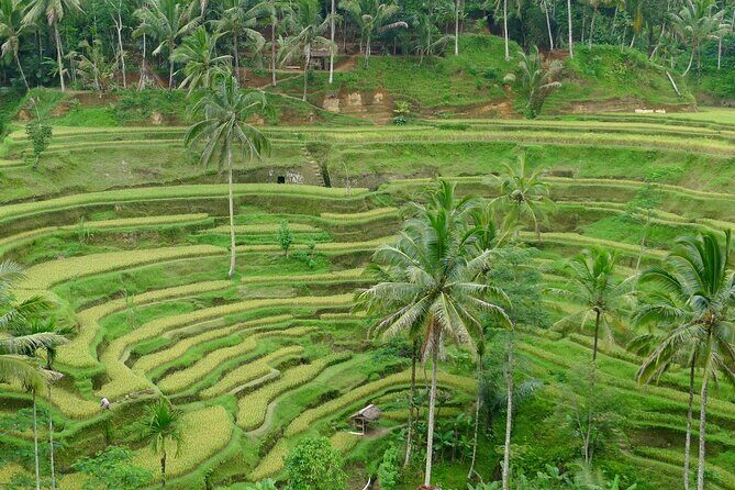 Bali Benoa Shore Excursion for Cruise's Passenger - All Inclusive - Celuk Village Crafts: A Real Bali Skill You Can See