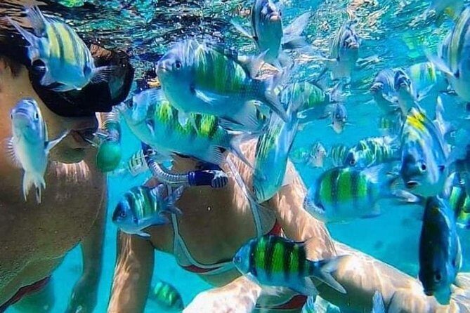 Bali Best Snorkeling at Blue Lagoon - Key highlights worth your attention