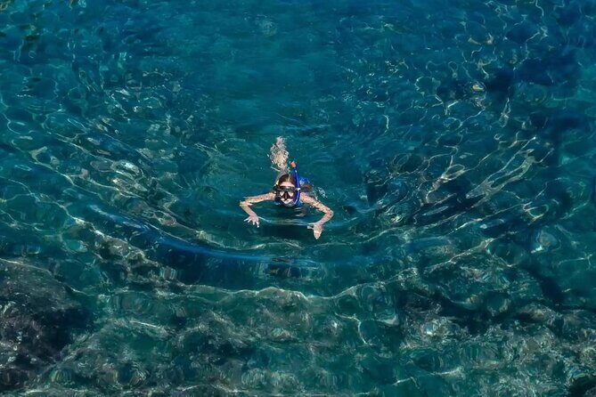 Bali Blue Lagoon Snorkeling with Private Transfer and Lunch - Price and value: is $42 per person a fair deal?