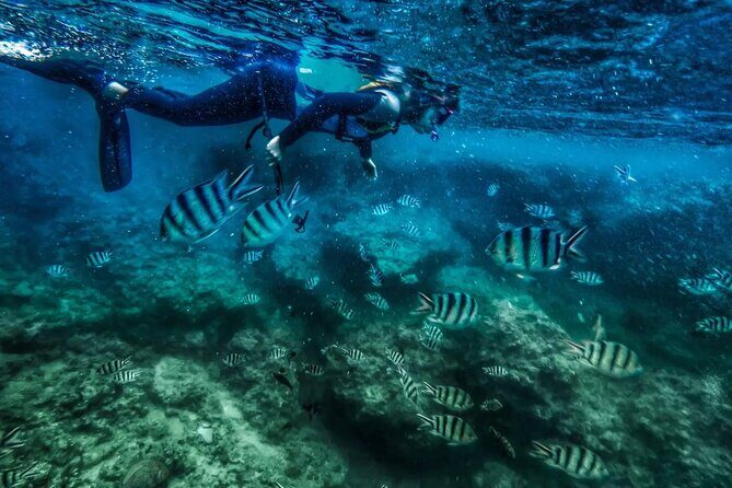 Bali Blue Lagoon Snorkeling with Private Transfer and Lunch - Private transfer in an air-conditioned car: comfort that actually saves stress