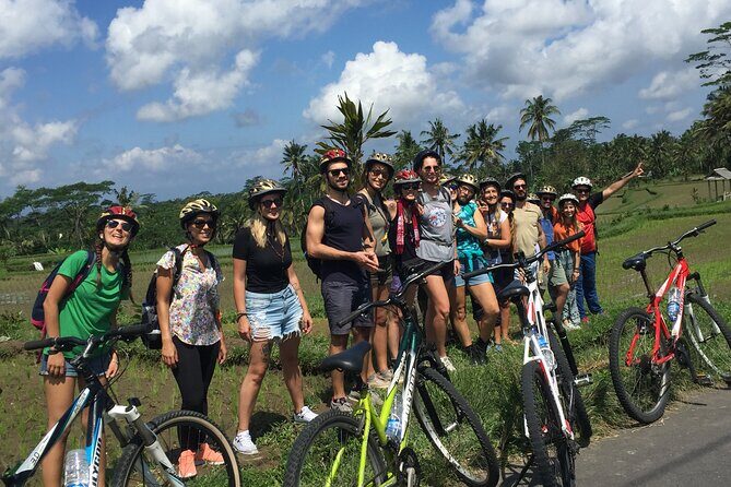 Bali Countryside Cycling Tour by Halo Bike Tour - The ride itself: rural back roads and rice-farmer daily life