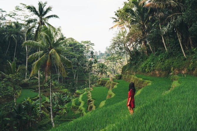 Bali day trip : Batur Sunrise Hike and Hot Spring All inclusive - Price and value: is $97.86 really fair for a 10–12 hour day?