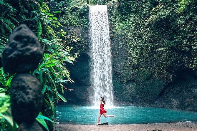 Bali Day Trip: Ubud Temples & Hidden Waterfalls - Tegalalang Rice Terrace: a photo-friendly, cultural reset