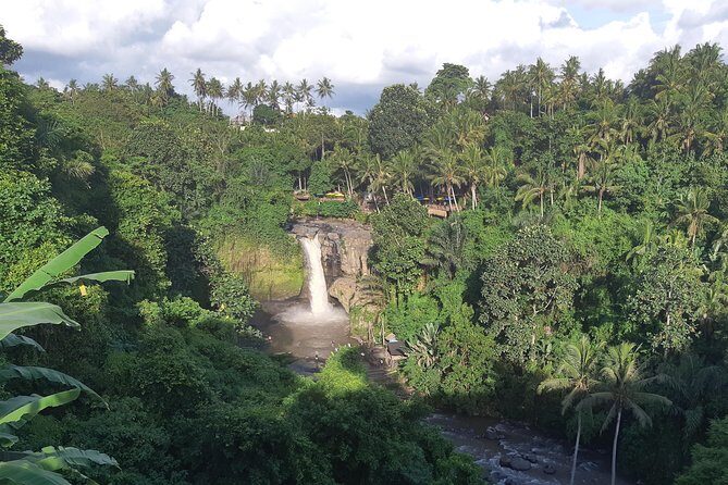 Bali Full Day Holy Water Tour - Kintamani Lunch Break With Mt. Batur Views