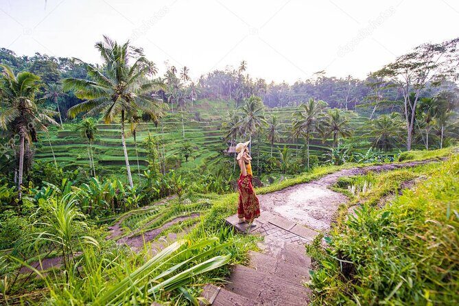 Bali Full-Day Sightseeing Trip with Lunch - Key Highlights You’ll Actually Care About
