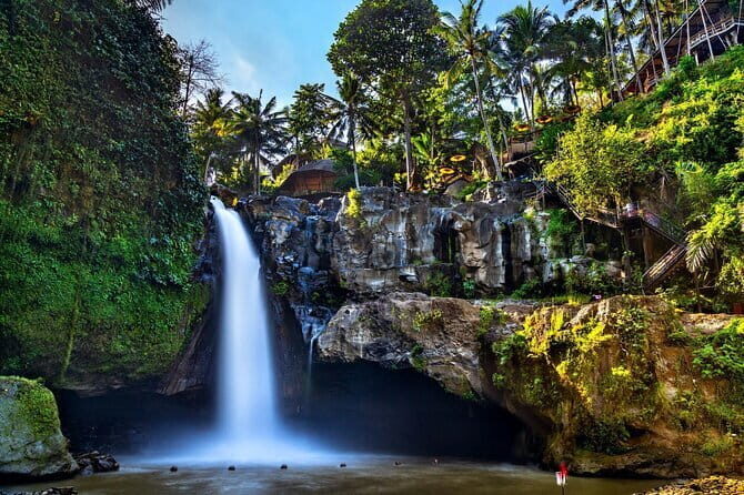 Bali Full-Day Tours : Waterfall and Ubud Destination Trip - Ubud in One Day: What This Route Really Feels Like