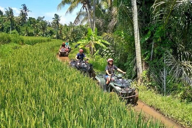 Bali Full-Day Tours : Waterfall and Ubud Destination Trip - Goa Gajah (Elephant Cave): Archaeology With a Human-Scale Visit