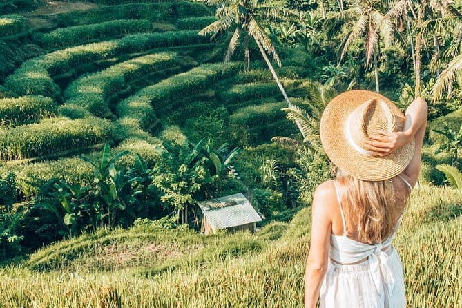 Bali Full-Day Tours : Waterfall and Ubud Destination Trip - Ubud Royal Palace (Puri Saren Ubud) and Pasar Seni Market: Culture Plus Shopping
