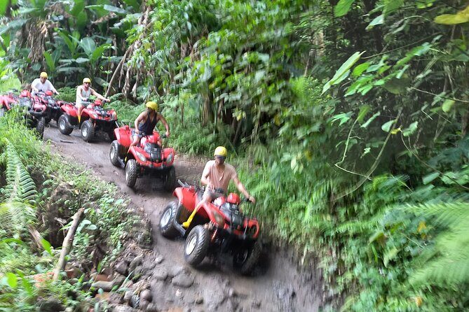 Bali : Gorilla Cave ATV & Ubud White Water Rafting With Lunch - ATV in Ubud: Gorilla Face Cave, Rice Fields, Jungle Routes