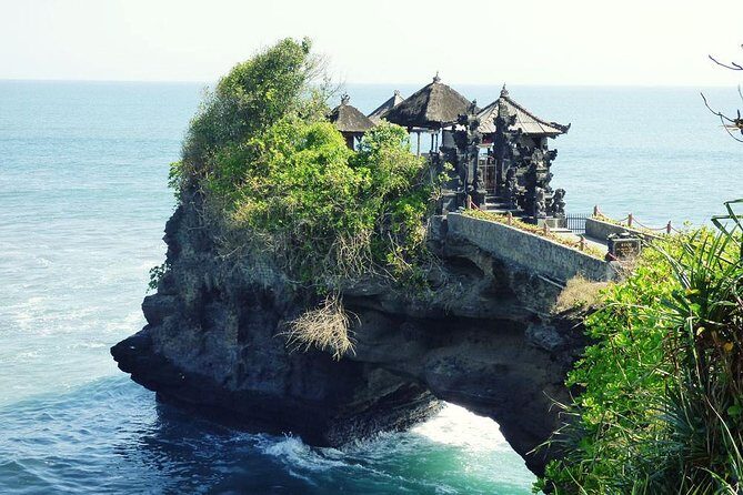 Bali Half Day Tour - Taman Ayun temple, Alas Kedaton,Tanah lot sunset Dinner - Stop 2: Alas Kedaton Monkey Forest—Tame Monkeys, Real Forest Vibes