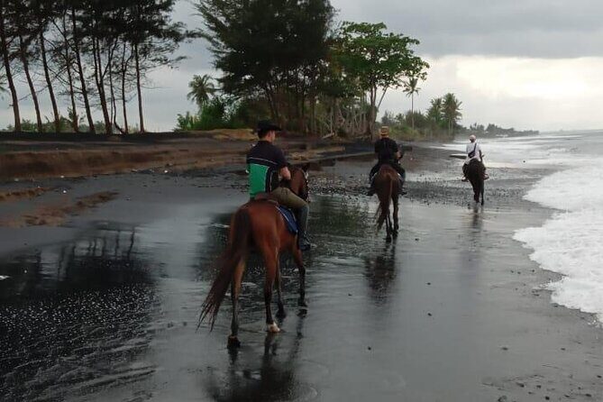 Bali Horse Riding Trot & Canter Saba Beach with Local Temple - Price and Logistics: Is $39 Good Value?