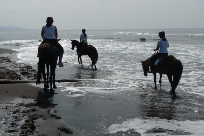 Bali Horse Riding Trot & Canter Saba Beach with Local Temple - Who Should Book This Ride (and Who Should Think Twice)