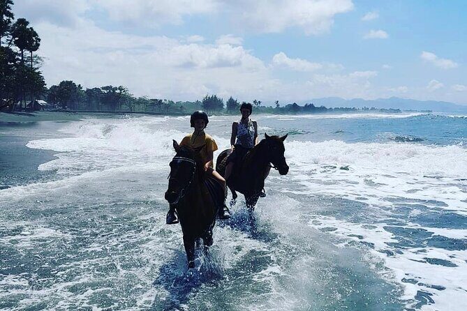 Bali Horse Riding Trot & Canter Saba Beach with Local Temple - Trot and Canter Along the Surf: What You’ll Actually Do on Horseback