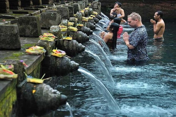 Bali Instagram Tour [Private and All-Inclusive] - Abian Desa Rice Terraces (Tegalalang) Plus Jungle Swing and Giant Bird Nest