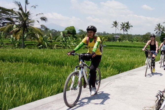 Bali Mountains and Villages Cycling Tour - Key Points I’d Plan Around