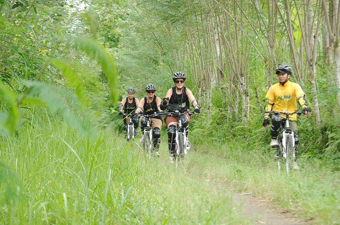 Bali Mountains and Villages Cycling Tour - The Ride Route: Coffee, Rice, River Valleys, Off-Road Tracks