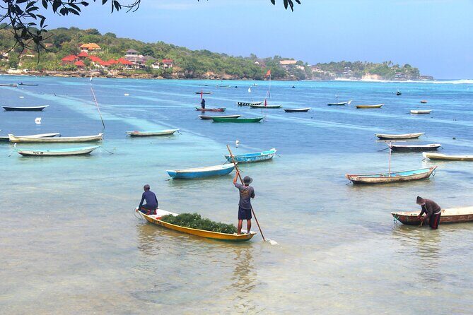 Bali Nusa Lembongan Islands Private Tour - All Inclusive - What You’re Really Buying: A Full, Off-Bali Day on Nusa Lembongan