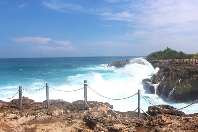 Bali Nusa Lembongan Islands Private Tour - All Inclusive - Stop 1: Mangrove Point by Boat and Why the Ecosystem Matters