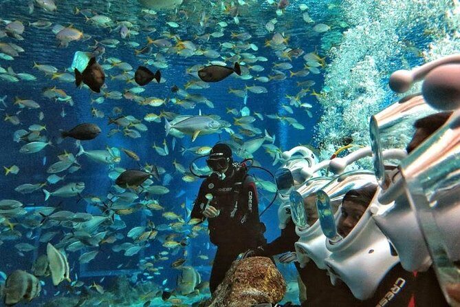 Bali Ocean Walker - Ocean Walker in Kuta: The Oxygen Helmet Experience (Without the Swim Lessons)