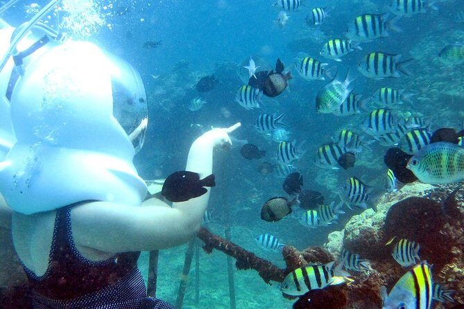 Bali Ocean Walker - Gear, Comfort, and Safety: What’s Included Before You Go Under